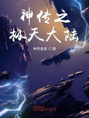 神传之极天大陆