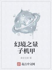 幻境之量子机甲