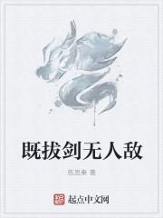 既拔剑无人敌