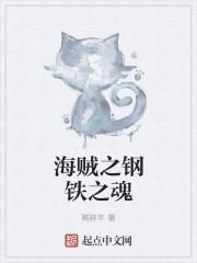 海贼之钢铁之魂
