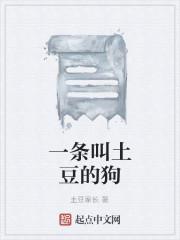 一条叫土豆的狗