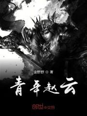 青年赵云