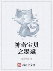 神奇宝贝之墨斌