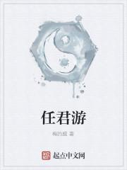 任君游
