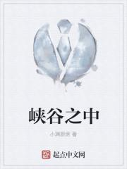 峡谷之中
