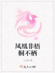 凤凰非梧桐不栖