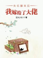 失忆醒来后我嫁给了大佬