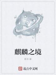 麒麟之境
