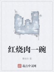 红烧肉一碗