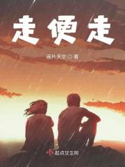 走便走