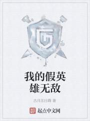 我的假英雄无敌