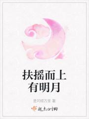 扶摇而上有明月