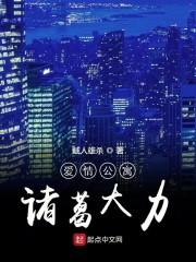 爱情公寓诸葛大力