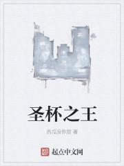 圣杯之王