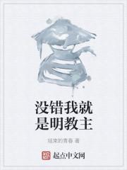 没错我就是明教主