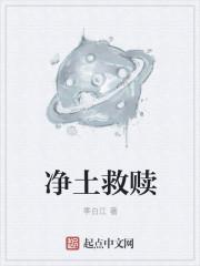 净土救赎