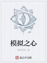 模拟之心