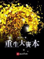 重生大资本