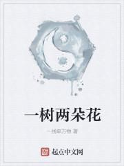 一树两朵花