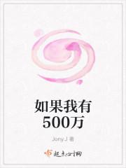 如果我有500万