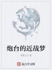 炮台的近战梦