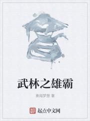 武林之雄霸