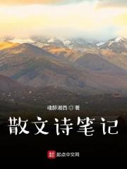散文诗笔记