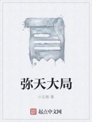 弥天大局