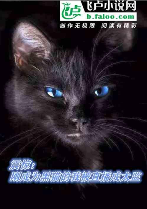 震惊:刚成为黑猫的我被直播成太监