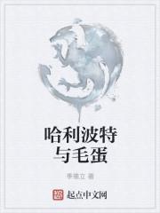 哈利波特与毛蛋