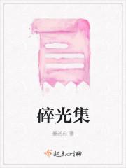 碎光集