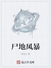 尸地风暴