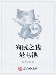 海贼之我是电池