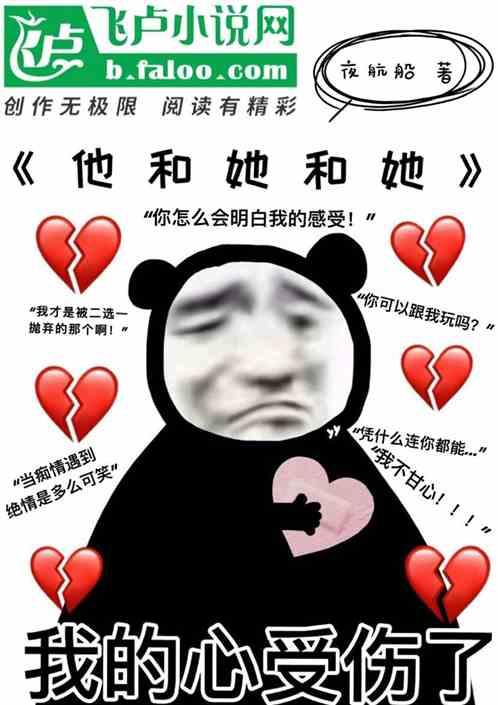 他和她和她