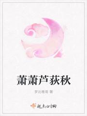 萧萧芦荻秋