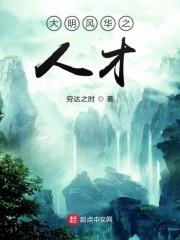 大明风华之人才