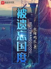 被遗忘国度