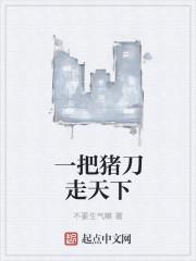 一把猪刀走天下