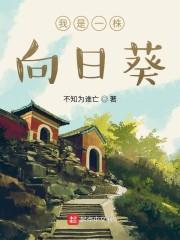 我是一株向日葵