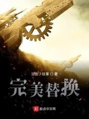 完美替换