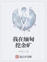 我在缅甸挖金矿