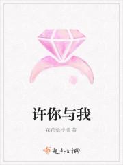 许你与我