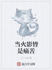 当火影皆是痛苦