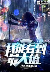 我能看到最大值