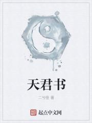 天君书