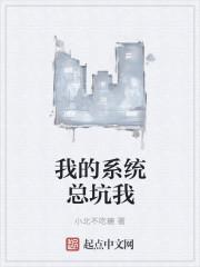 我的系统总坑我