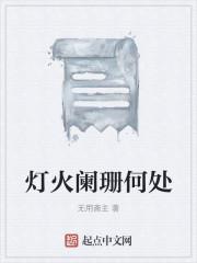 灯火阑珊何处