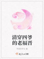 清穿四爷的老福晋