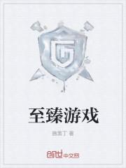 至臻游戏