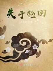 关于轮回
